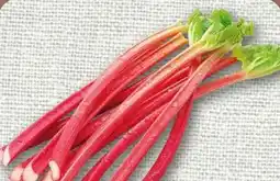 nahkauf Rewe Regional Rhabarber Angebot