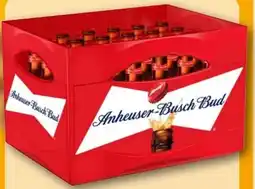 REWE Center Anheuser Busch Bud Beer Angebot