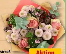 REWE Center Blumenstrauß Zauberer von Oz Angebot