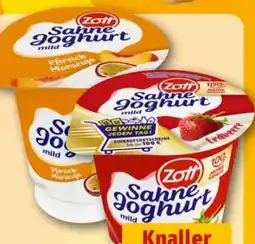 REWE Center Zott Sahne Joghurt Angebot