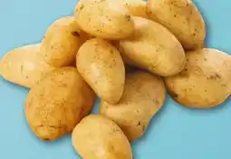 REWE Center Speisekartoffeln Angebot