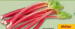 REWE Center Rhabarber Angebot