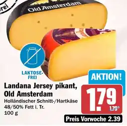 HIT Landana Jersey pikant, Old Amsterdam Angebot
