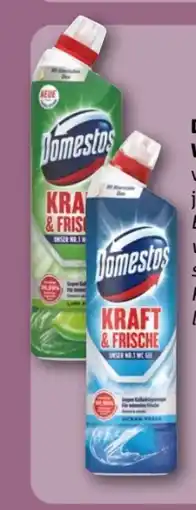 REWE Center Domestos Aktiv-Kraft WC Reiniger Angebot