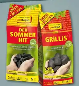 REWE Center proFagus Grill-Holzkohle Angebot