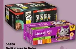 REWE Center Sheba Delikatesse in Gelee Angebot
