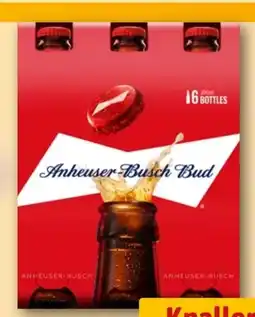 REWE Anheuser Busch Bud Beer Angebot