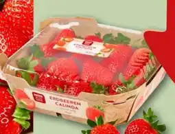 REWE Rewe Beste Wahl Erdbeeren Calinda Angebot