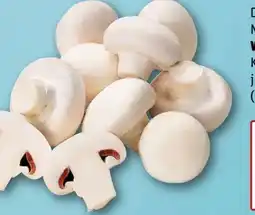 REWE Champignons Angebot