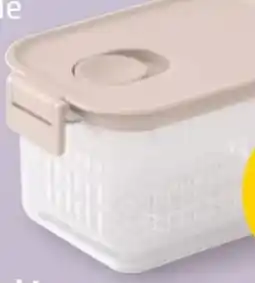 PENNY Brabantia Frischhaltebox Angebot