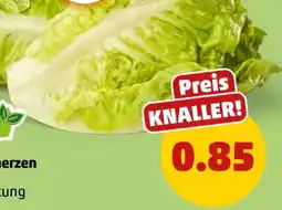 PENNY Marktliebe Regional Romana Salatherzen Angebot