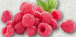 REWE Himbeeren Angebot