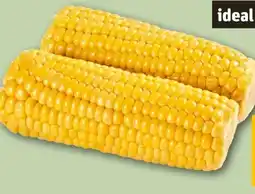 REWE Rewe Regional Vorgegarter Zuckermais Angebot