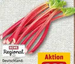REWE Rewe Regional Rhabarber Angebot