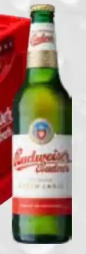 trinkgut Budweiser Budvar (CZ) Premium Lager Angebot