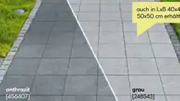 BayWa Bau & Garten Lusit Beton-Gehwegplatte Angebot