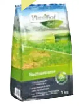 BayWa Bau & Garten Plantiflor Nachsaatrasen Angebot