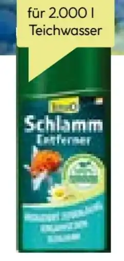 BayWa Bau & Garten Tetra Schlammentferner Angebot
