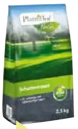 BayWa Bau & Garten Plantiflor Schattenrasen Angebot