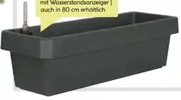 BayWa Bau & Garten Blumenkasten Viva Angebot