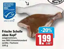 HIT Frische Scholle ohne Kopf Angebot