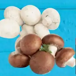 E-Center Riesenchampignons Angebot