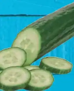 E-Center Bio-Gurke Angebot