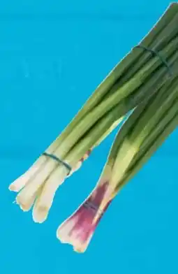 E-Center Lauchzwiebeln Angebot