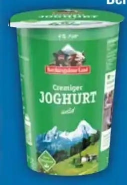 E-Center Berchtesgadener Land Joghurt Angebot