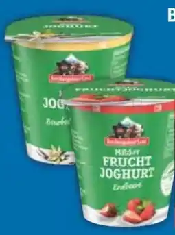 E-Center Berchtesgadener Land Frucht Joghurt Angebot