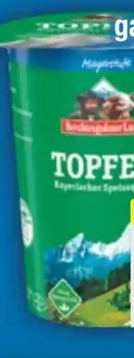 E-Center Berchtesgadener Land Topfen Angebot