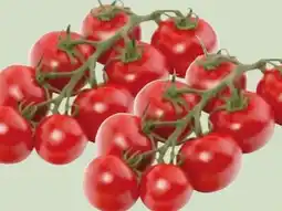 Edeka Xpress Edeka Herzstücke Mini Rispentomaten Angebot