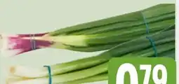 Edeka Xpress Lauchzwiebeln Angebot