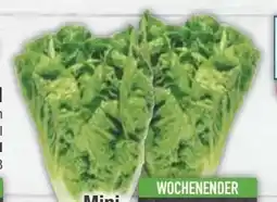 E-Center Mini-Romanasalat Angebot