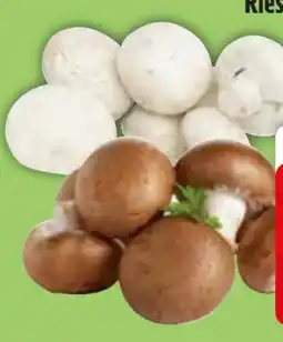 Edeka Riesenchampignons Angebot
