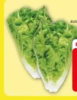 Edeka Mini-Romanasalat Angebot