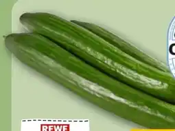 REWE Rewe Regional Salatgurke Angebot