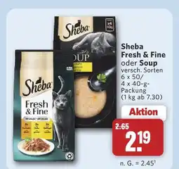 Combi Sheba fresh & fine Angebot