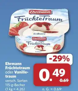 Combi Ehrmann früchtetraum Angebot