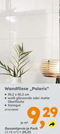Globus Baumarkt Wandfliese polaris Angebot