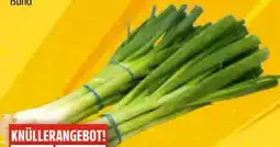EDEKA Bandelt Lauchzwiebeln Angebot