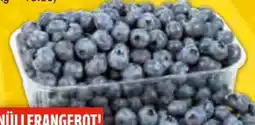 EDEKA Bandelt Bio Kulturheidelbeeren Angebot