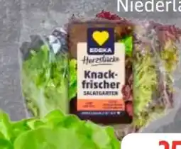 Edeka Frischemarkt Edeka Herzstücke Ballensalat Mix Angebot