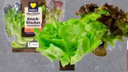 Edeka Ballensalat-Mix Angebot