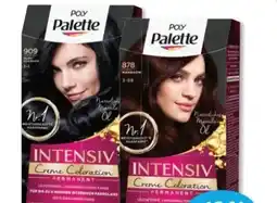 Budni Palette Intensive-Creme-Coloration Angebot