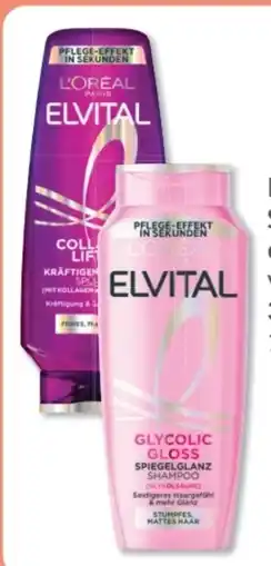 Budni L'Oréal Paris Elvital Shampoo Angebot