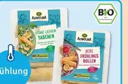 Budni Alnatura Bio Mini-Frühlingsrollen Vegan Angebot