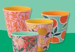 Budni Kunststoff-Becher Angebot