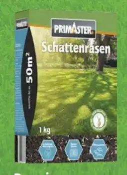 Globus Baumarkt Primaster Premium Schattenrasen Angebot