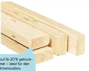 Hellweg Unterkonstruktionslatte Angebot